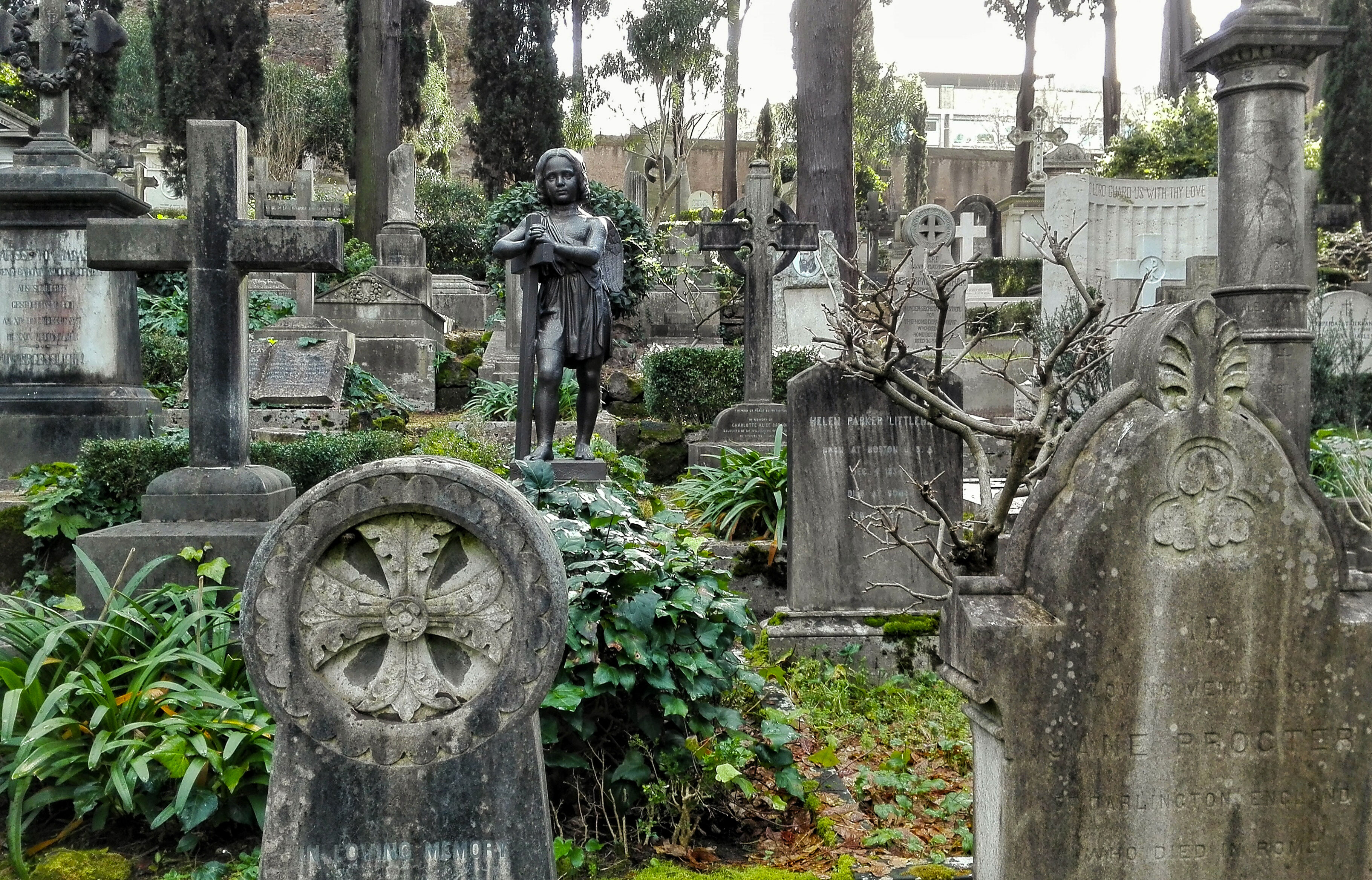 Eleuteria al cimitero degli Inglesi