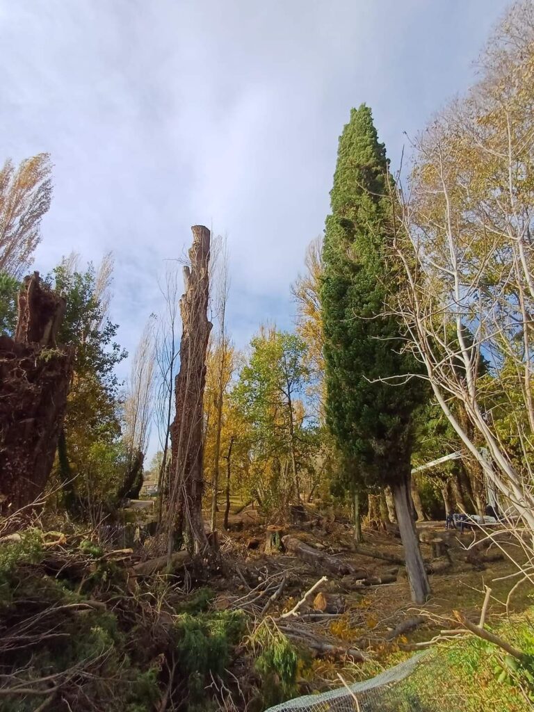 Le Fonti del Clitunno 